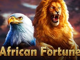 African Fortune